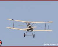 TSR Watermark - 0512